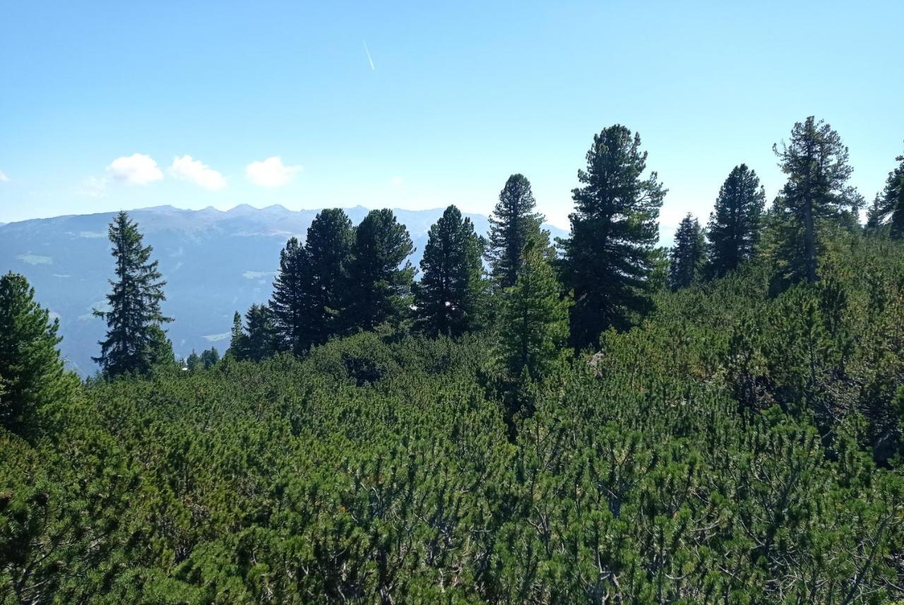 Apart Anna Mayrhofen Dış mekan fotoğraf