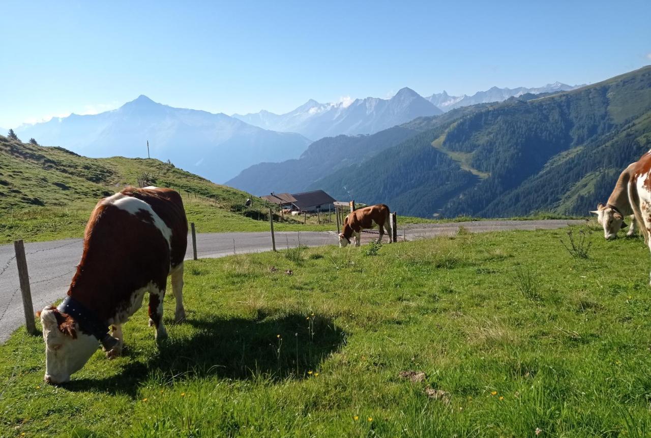 Apart Anna Mayrhofen Dış mekan fotoğraf