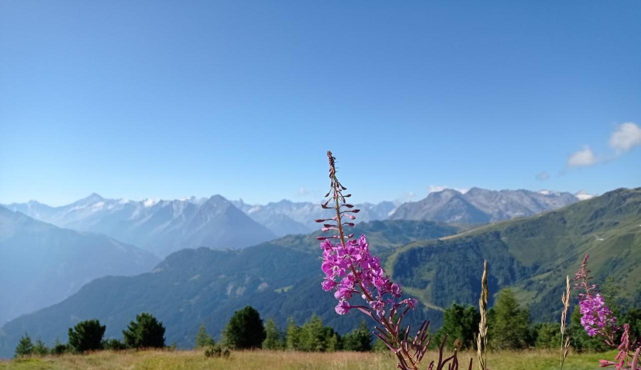 Apart Anna Mayrhofen Dış mekan fotoğraf